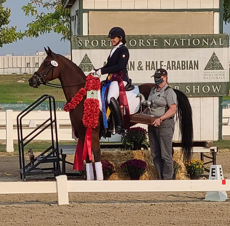Moonlight Mirage at the 2020 Sport Horse Nationals