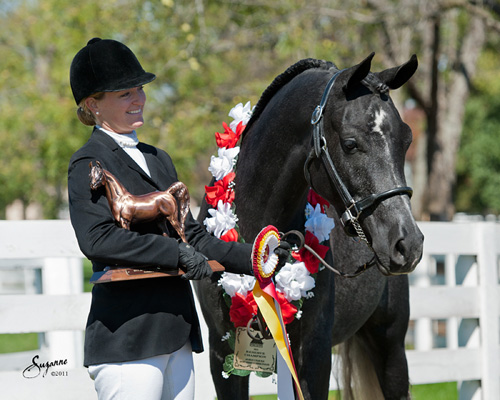 2011 Sport Horse Nationals - Maska C with owner Megan Frantz